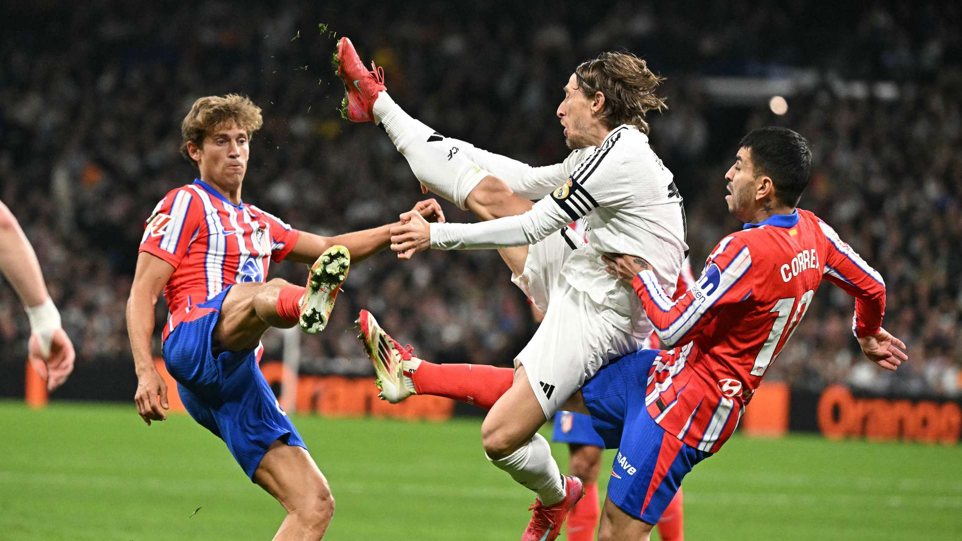 以帮助农民 以帮助农民