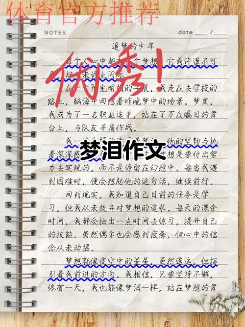 回望|中国之队的2017 梦里依稀有泪光 梦想不止在路上